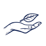environment icon